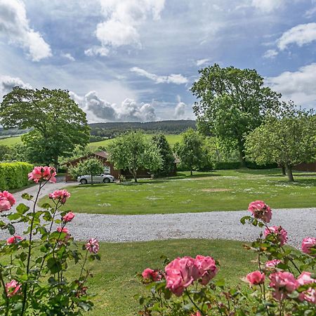 Laburnum Lodge Sleeps 6 Wheelchair Access Minehead Exterior foto